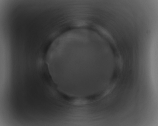 X0000100780415200807031235