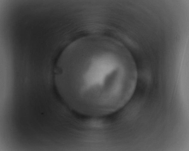 X0000100780416200807031235