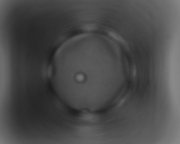 X0000100780417200807031235