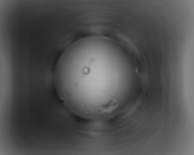 X0000100780418200807031235