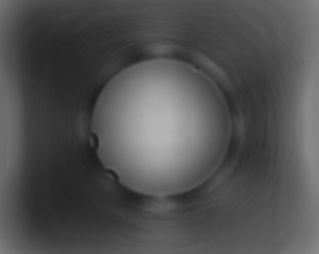 X0000100780421200807031235