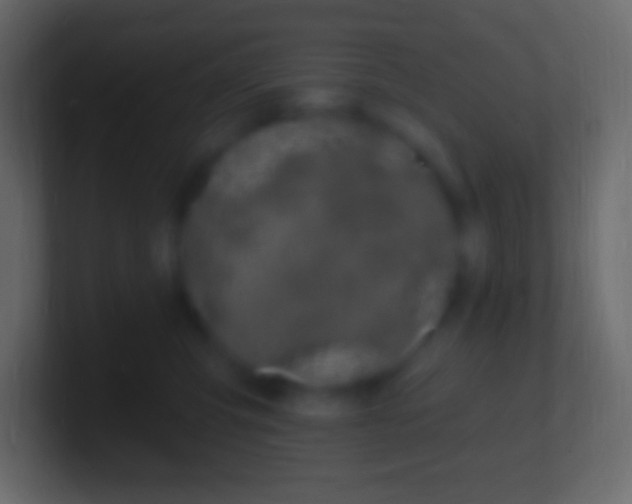 X0000100780423200807031235