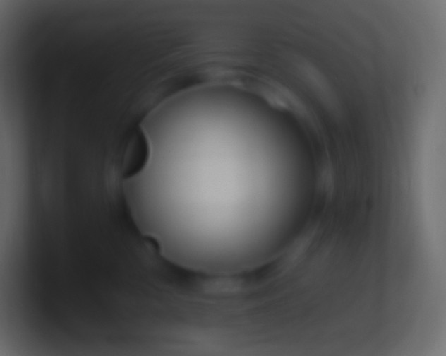 X0000100780426200807031235