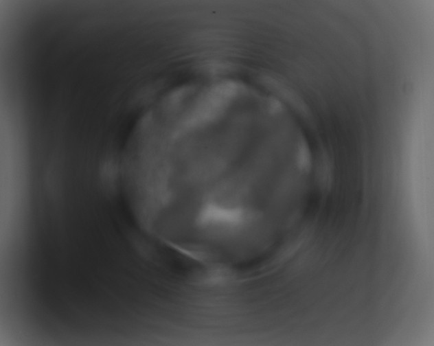 X0000100780427200807031235