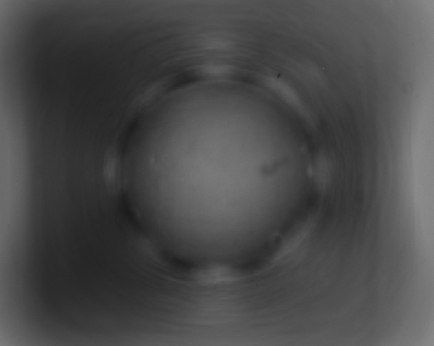 X0000100780428200807031235