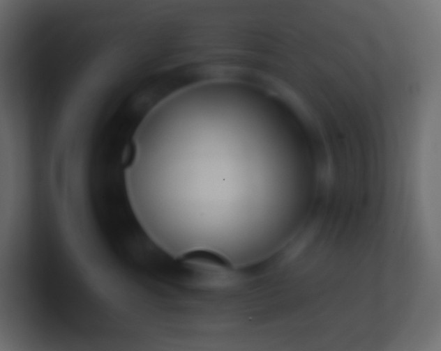 X0000100780429200807031235