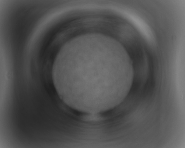 X0000100780431200807031235