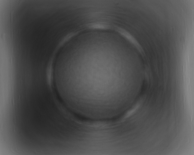 X0000100780434200807031235