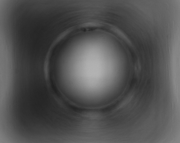 X0000100780436200807031235