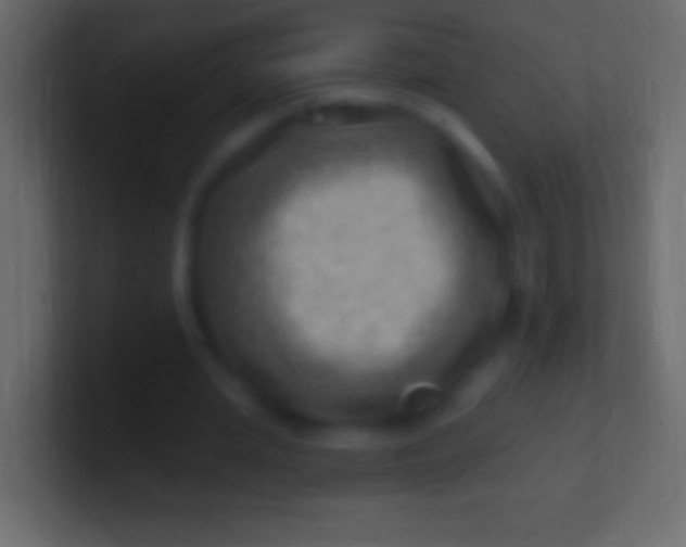 X0000100780437200807031235