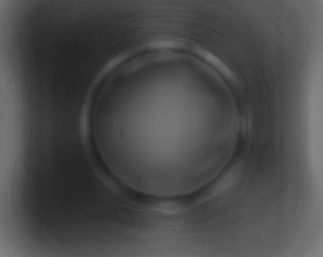 X0000100780438200807031235