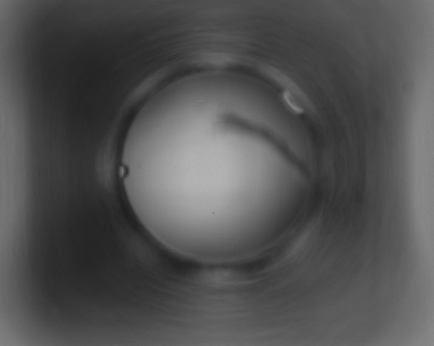 X0000100780440200807031235