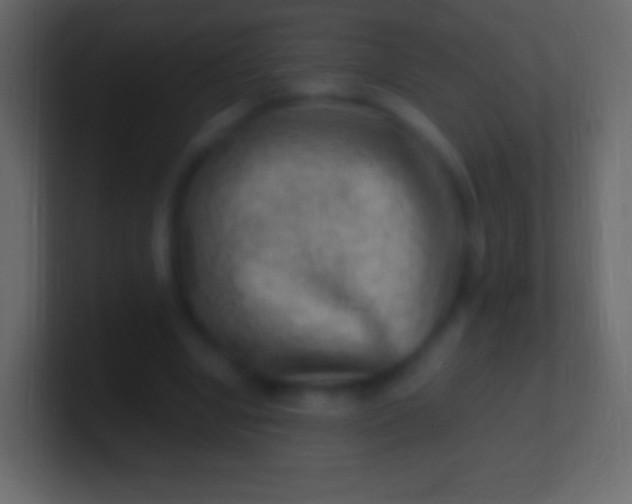 X0000100780442200807031235