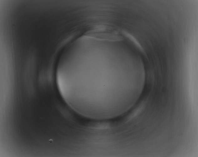 X0000100780443200807031235