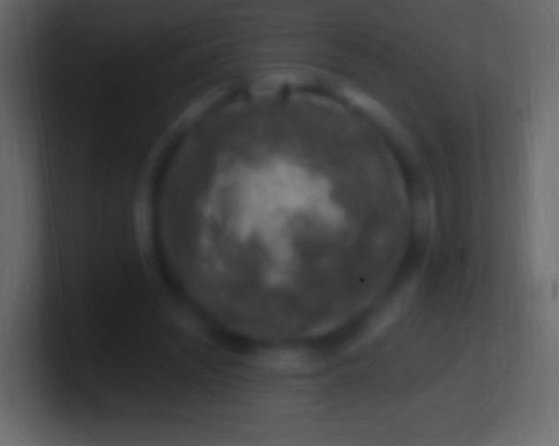 X0000100780444200807031235