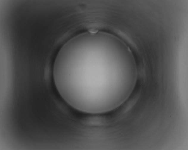 X0000100780448200807031235