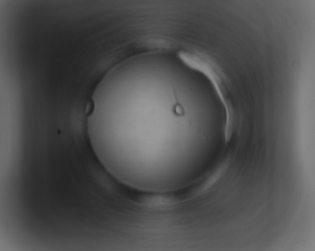 X0000100780449200807031235