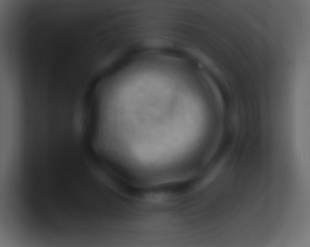 X0000100780450200807031235