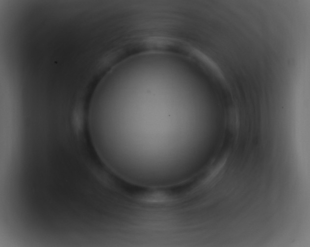 X0000100780451200807031235