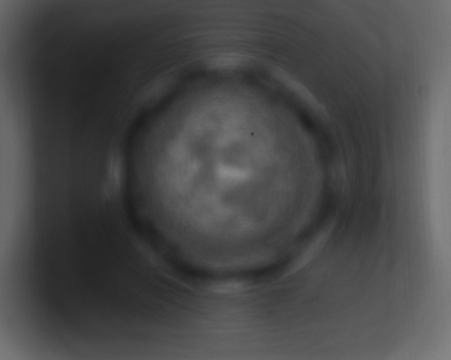 X0000100780454200807031235