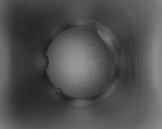 X0000100780457200807031235