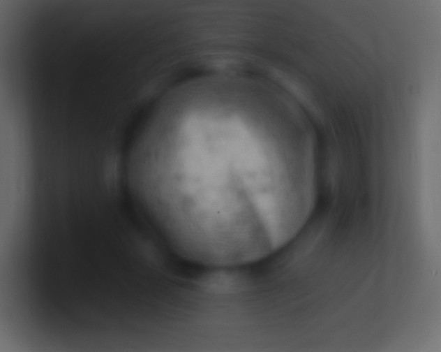 X0000100780461200807031235