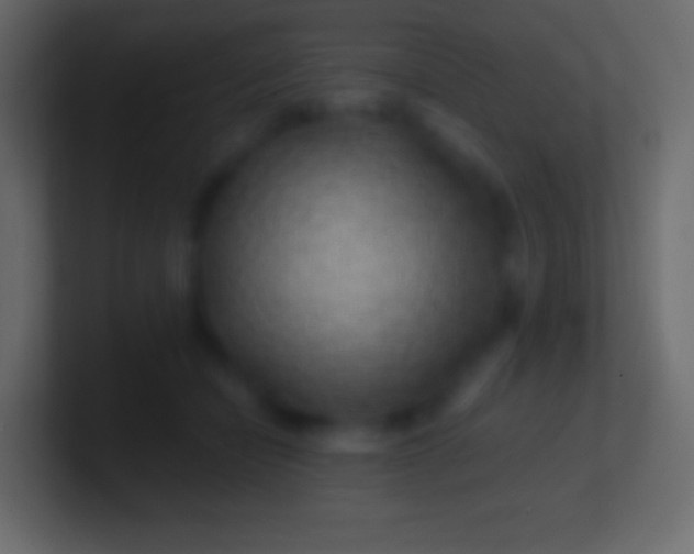 X0000100780462200807031235