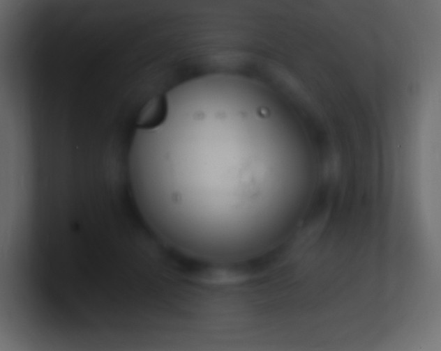 X0000100780464200807031235