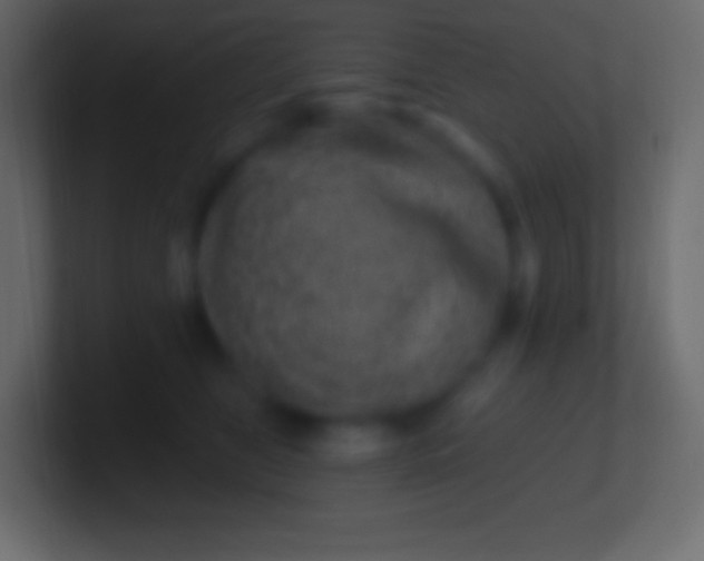 X0000100780469200807031235