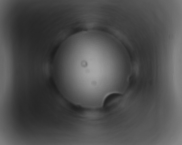 X0000100780470200807031235