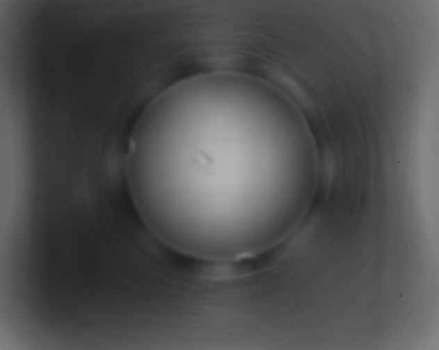 X0000100780473200807031235