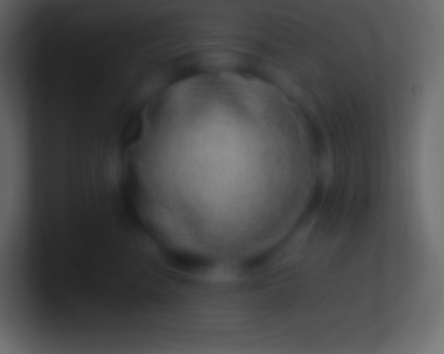 X0000100780474200807031235