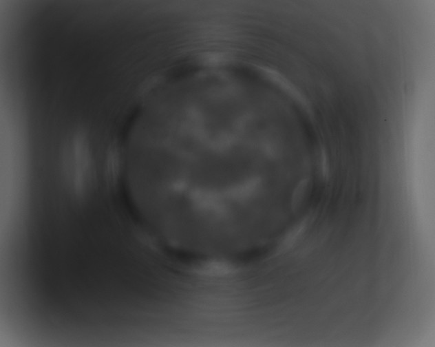 X0000100780475200807031235