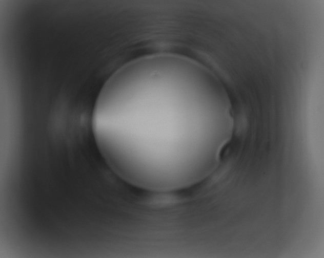 X0000100780476200807031235