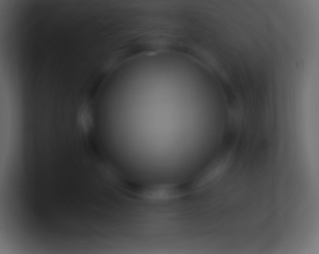 X0000100780479200807031235