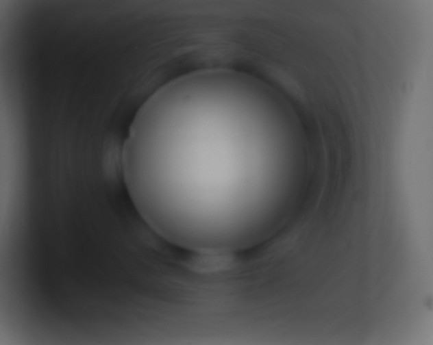 X0000100780480200807031235