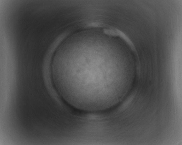 X0000100780481200807031235