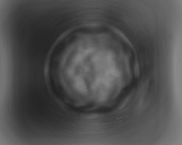 X0000100780483200807031235