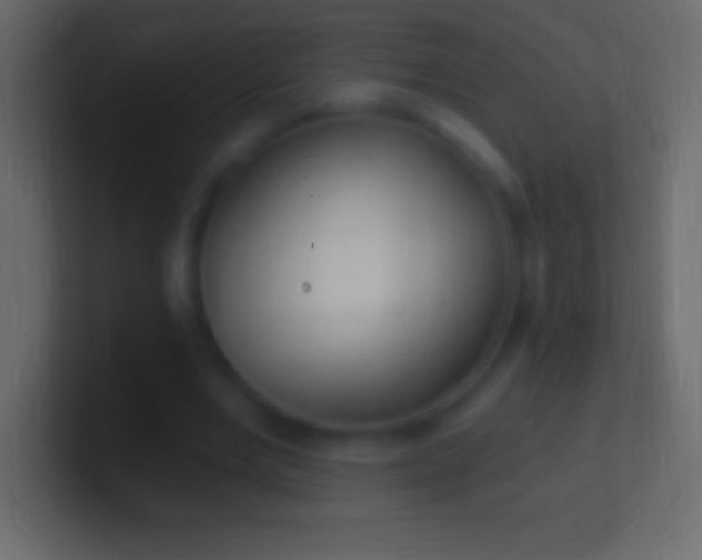 X0000100780485200807031234