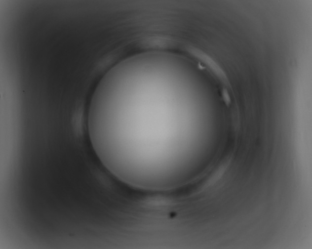 X0000100780489200807031234