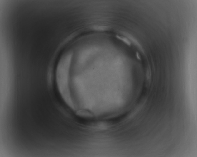 X0000100780492200807031234