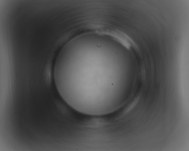 X0000100780493200807031234