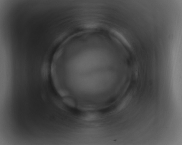 X0000100780495200807031234