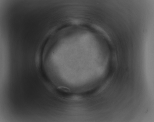 X0000100780496200807031234