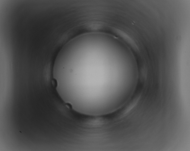 X0000100780497200807031234