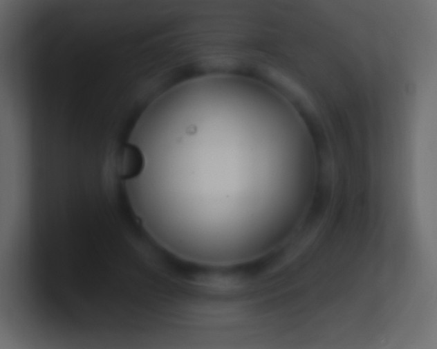 X0000100780498200807031234