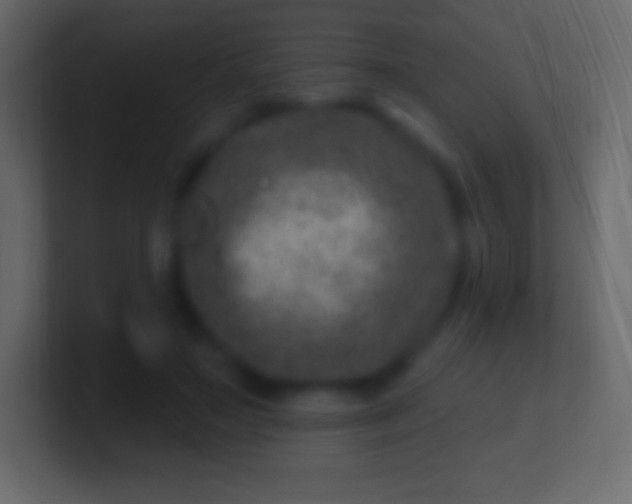 X0000100780499200807031234