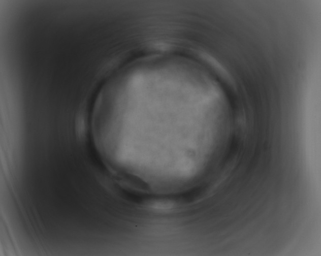 X0000100780500200807031234