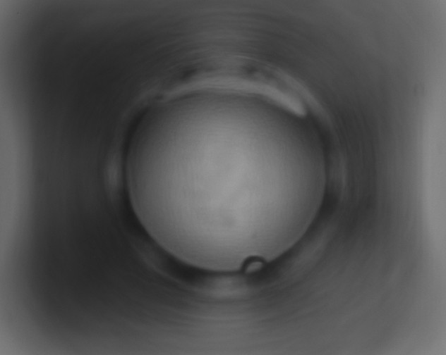 X0000100780501200807031234