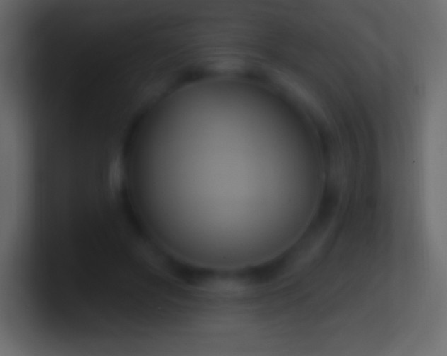 X0000100780502200807031234